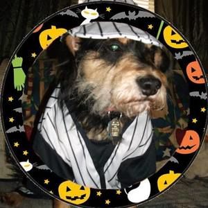 Meet your Posher, Evelyn